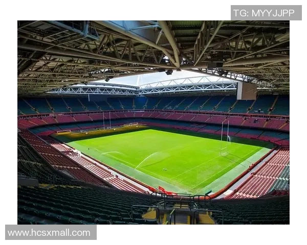 金嗓子请来的足球明星们如何在绿茵场上展现非凡魅力与激情